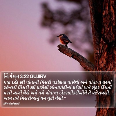 નિર્ગમન 3:22 GUJIRV Bible Verse Image