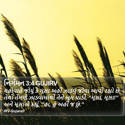 નિર્ગમન 3:4 GUJIRV Bible Verse Image