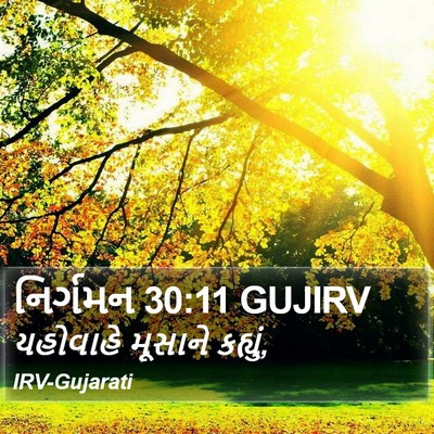 નિર્ગમન 30:11 GUJIRV Bible Verse Image