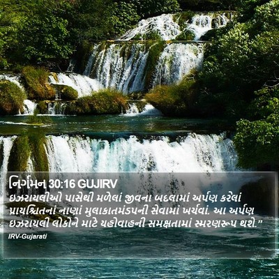 નિર્ગમન 30:16 GUJIRV Bible Verse Image
