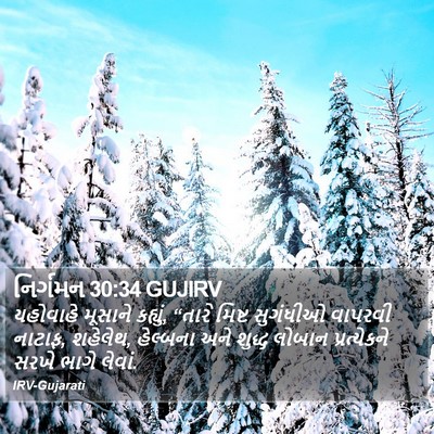 નિર્ગમન 30:34 GUJIRV Bible Verse Image