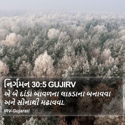 નિર્ગમન 30:5 GUJIRV Bible Verse Image
