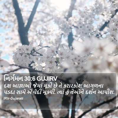 નિર્ગમન 30:6 GUJIRV Bible Verse Image