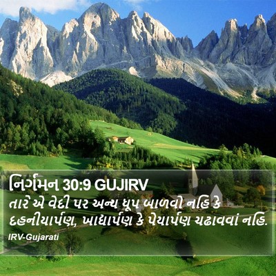 નિર્ગમન 30:9 GUJIRV Bible Verse Image