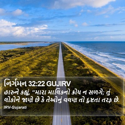 નિર્ગમન 32:22 GUJIRV Bible Verse Image