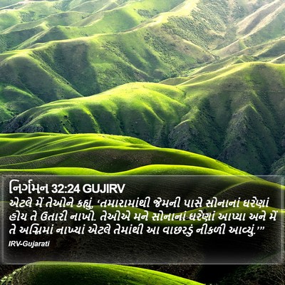 નિર્ગમન 32:24 GUJIRV Bible Verse Image