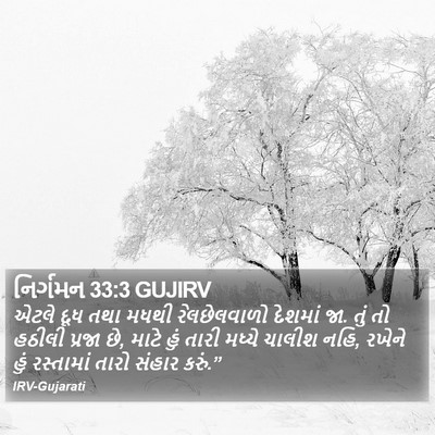 નિર્ગમન 33:3 GUJIRV Bible Verse Image