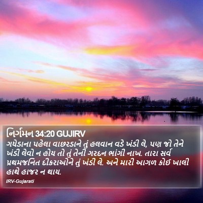 નિર્ગમન 34:20 GUJIRV Bible Verse Image