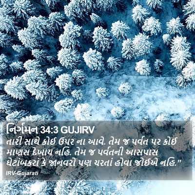 નિર્ગમન 34:3 GUJIRV Bible Verse Image