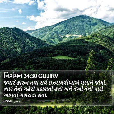 નિર્ગમન 34:30 GUJIRV Bible Verse Image