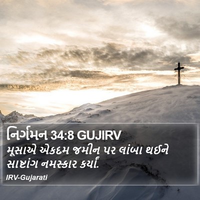 નિર્ગમન 34:8 GUJIRV Bible Verse Image