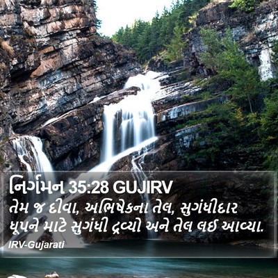 નિર્ગમન 35:28 GUJIRV Bible Verse Image