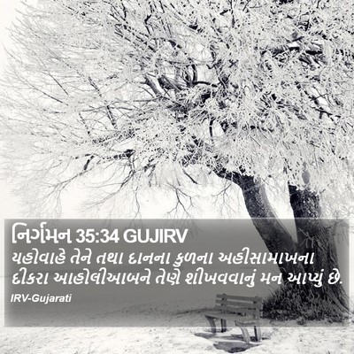 નિર્ગમન 35:34 GUJIRV Bible Verse Image