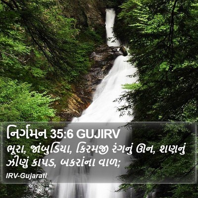 નિર્ગમન 35:6 GUJIRV Bible Verse Image