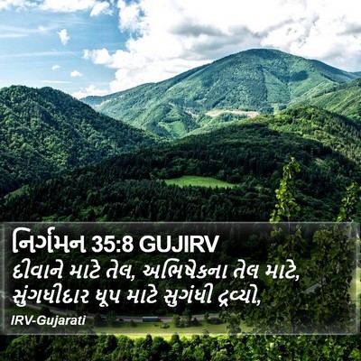 નિર્ગમન 35:8 GUJIRV Bible Verse Image