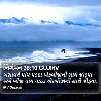 નિર્ગમન 36:10 GUJIRV Bible Verse Image