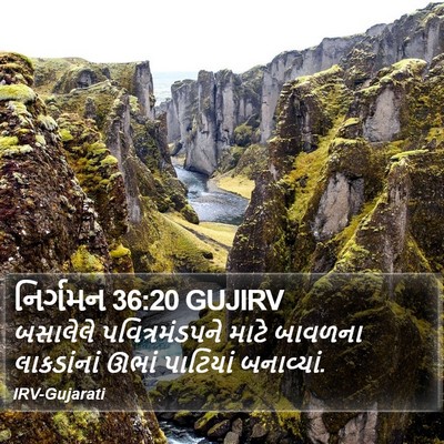 નિર્ગમન 36:20 GUJIRV Bible Verse Image