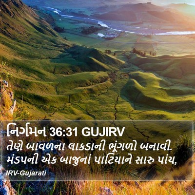 નિર્ગમન 36:31 GUJIRV Bible Verse Image