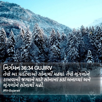 નિર્ગમન 36:34 GUJIRV Bible Verse Image