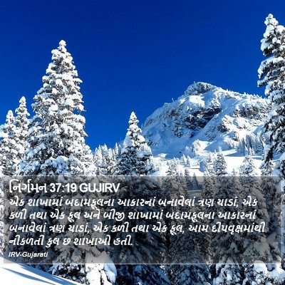 નિર્ગમન 37:19 GUJIRV Bible Verse Image