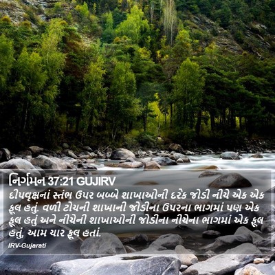 નિર્ગમન 37:21 GUJIRV Bible Verse Image