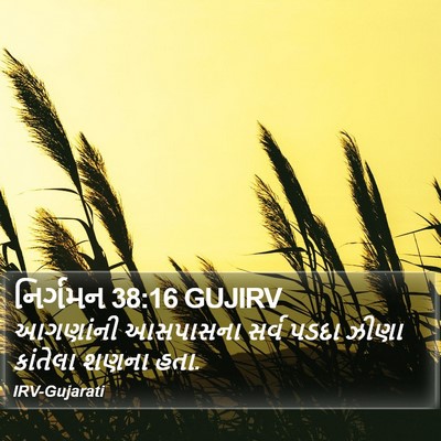 નિર્ગમન 38:16 GUJIRV Bible Verse Image