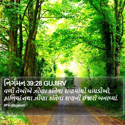 નિર્ગમન 39:28 GUJIRV Bible Verse Image