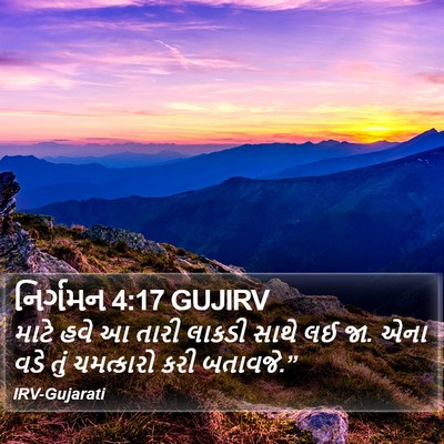 નિર્ગમન 4:17 GUJIRV Bible Verse Image