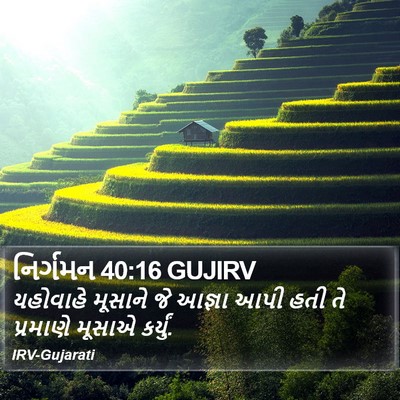 નિર્ગમન 40:16 GUJIRV Bible Verse Image