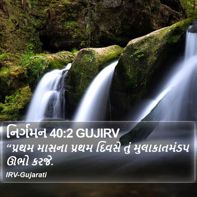 નિર્ગમન 40:2 GUJIRV Bible Verse Image