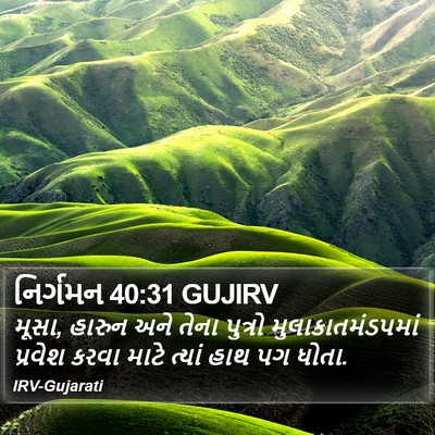 નિર્ગમન 40:31 GUJIRV Bible Verse Image