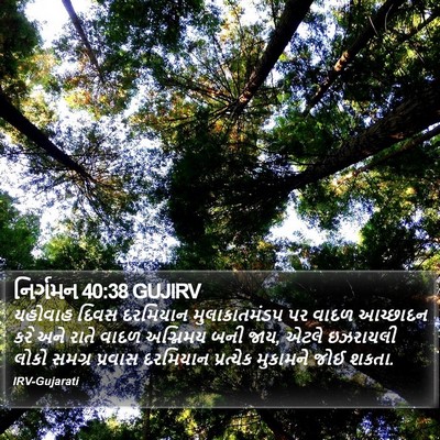 નિર્ગમન 40:38 GUJIRV Bible Verse Image