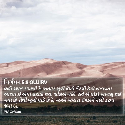 નિર્ગમન 5:8 GUJIRV Bible Verse Image