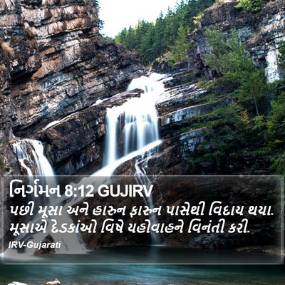 નિર્ગમન 8:12 GUJIRV Bible Verse Image