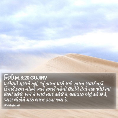 નિર્ગમન 8:20 GUJIRV Bible Verse Image