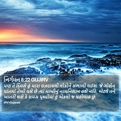 નિર્ગમન 8:22 GUJIRV Bible Verse Image