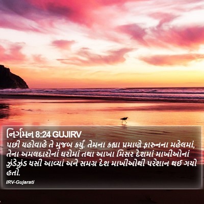નિર્ગમન 8:24 GUJIRV Bible Verse Image