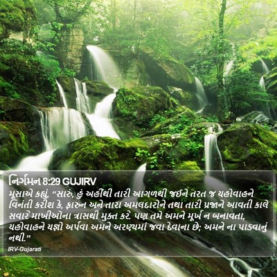 નિર્ગમન 8:29 GUJIRV Bible Verse Image