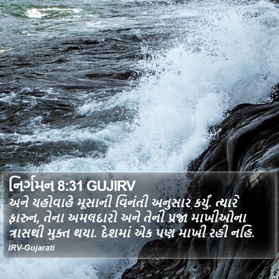 નિર્ગમન 8:31 GUJIRV Bible Verse Image