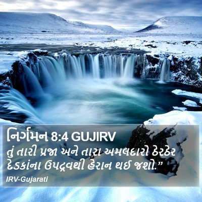 નિર્ગમન 8:4 GUJIRV Bible Verse Image