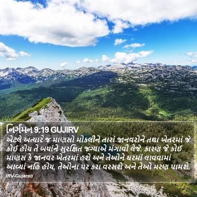 નિર્ગમન 9:19 GUJIRV Bible Verse Image