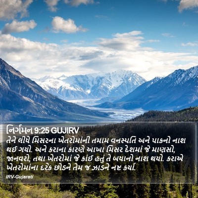 નિર્ગમન 9:25 GUJIRV Bible Verse Image
