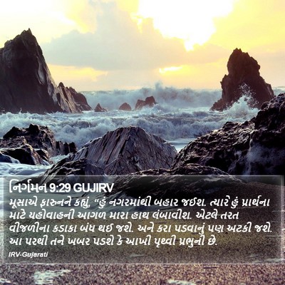 નિર્ગમન 9:29 GUJIRV Bible Verse Image