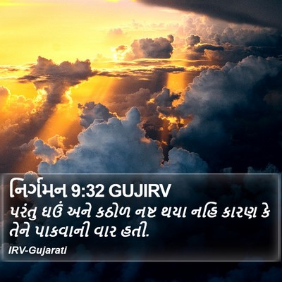 નિર્ગમન 9:32 GUJIRV Bible Verse Image