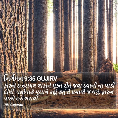નિર્ગમન 9:35 GUJIRV Bible Verse Image