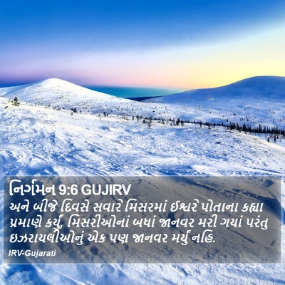 નિર્ગમન 9:6 GUJIRV Bible Verse Image