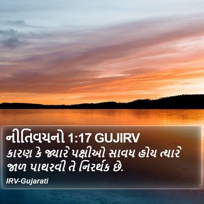 નીતિવચનો 1:17 GUJIRV Bible Verse Image