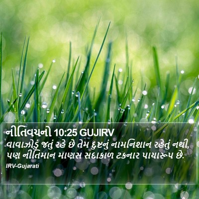નીતિવચનો 10:25 GUJIRV Bible Verse Image
