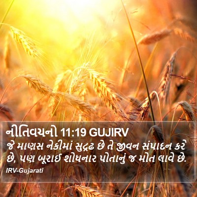 નીતિવચનો 11:19 GUJIRV Bible Verse Image