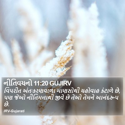 નીતિવચનો 11:20 GUJIRV Bible Verse Image